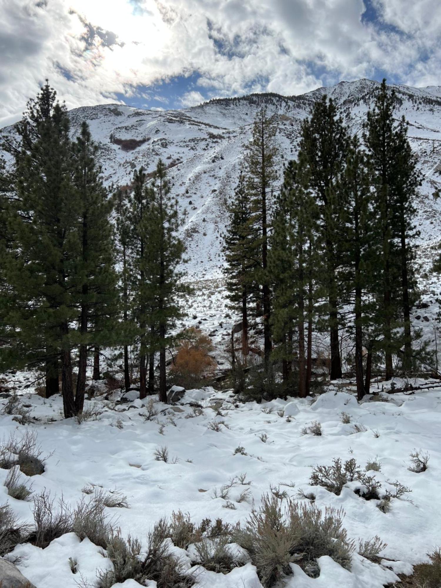 Starlight 3* Big Pine